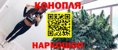 прущие грибы Гагарин