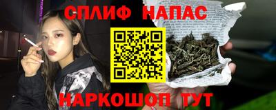 прущие грибы Гагарин