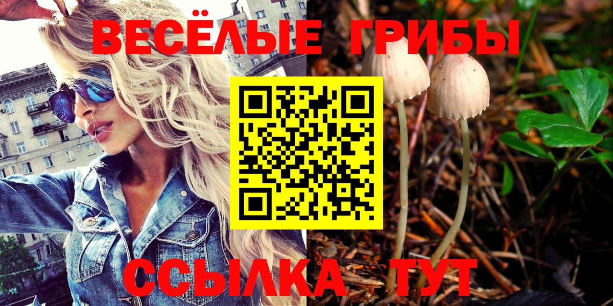 Псилоцибиновые грибы Cubensis  Вход с VPN  цены наркотик  Воронеж 
